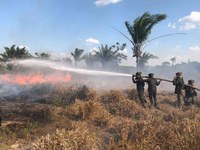Operação Verde Brasil 2 completa nove meses de combate a ilícitos ambientais