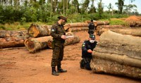 Operação Verde Brasil 2 evidencia a importância do combate aos crimes ambientais