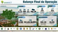 Operação Verde Brasil 2 encerra com queda no desmatamento