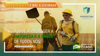 Operação Verde Brasil 2 lança campanha educativa e reforça o combate a ilegalidades na Amazônia