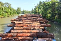 Operação Verde Brasil 2 realiza nova apreensão de embarcação irregular transportando madeira