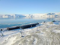 Programa Antártico Brasileiro completa 39 anos de atuação em pesquisas científicas