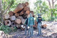 Transporte e distribuição de alimentos e kits de higiene beneficiam famílias em situação de vulnerabilidade