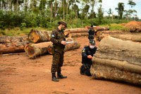 Decreto que autoriza uso das Forças Armadas na proteção da Amazônia Legal é prorrogado