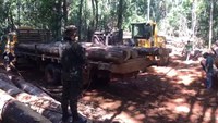 Desmonte de garimpo ilegal em Mato Grosso continua neste sábado