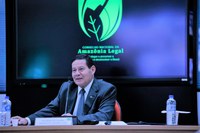 Vice-Presidente atualiza governadores sobre ações do Conselho da Amazônia