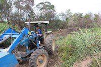 Afugentamento garante proteção da fauna nas obras da BR-101 Sul