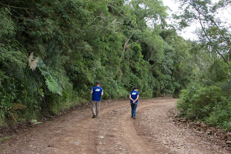 Monitoramento de animais atropelados