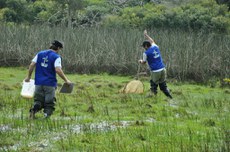 Programa de Monitoramento de Fauna e Bioindicadores