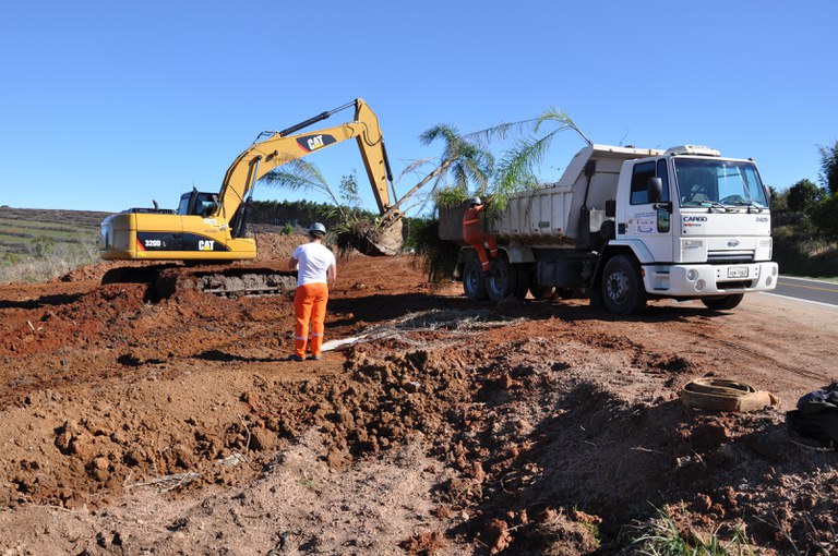 DNIT doa árvores para municípios interceptados pela BR-116/RS