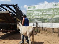 DNIT e PRF recolhem 140 animais soltos na BR-235/BA