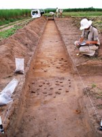 Duplicação da BR-101 salva 142 sítios arqueológicos no Nordeste