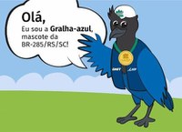 Gralha-azul é eleita a mascote das obras de implantação e pavimentação da BR-285/RS/SC