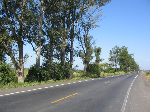 BR-280, na Serra do Corupá, será liberada nesta quinta