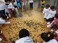 Projeto Pé-de-Pincha realiza a 10ª Soltura de Quelônios na RDS Igapó-Açu