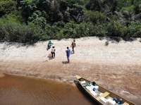 Projeto Pé-de-Pincha realiza a 11ª Coleta de Ovos de Quelônios na RDS Igapó-Açu