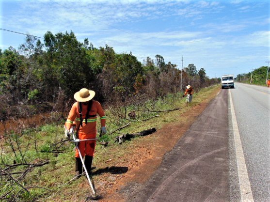 Equipe de roçada trabalhando na altura do km 28,50-RO..JPG