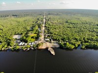 Dia da Amazônia: Celebrando e Protegendo o Coração Verde do Planeta