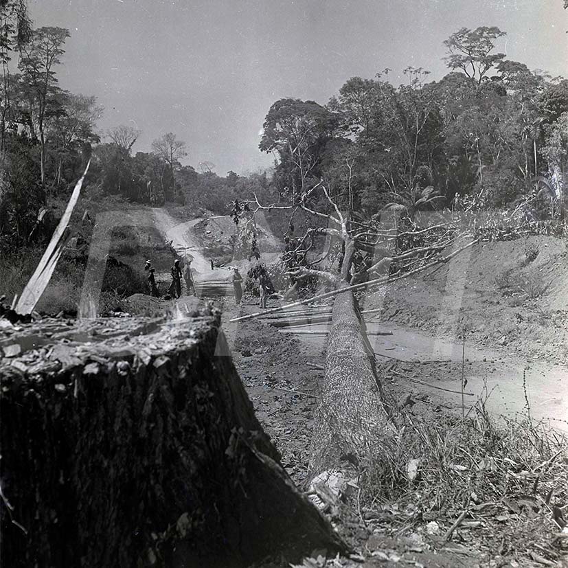 BR-29_364 Cuiabá-Rondônia _ 21 a 27 Ago 1961_AP27624.jpg