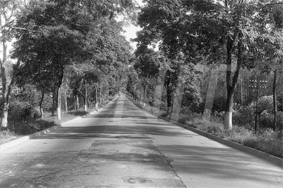 BR_040_Rio Petrópolis_Região de Caxias _ 19539136.jpg