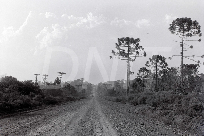 BR_116_ Curitiba_Lages _ 20 Ago 1952_ 8864.jpg