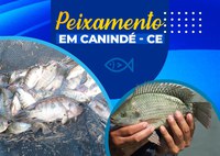 165 mil peixes são distribuídos em açudes no município de Canindé/CE