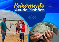 50 mil peixes foram distribuídos no Açude de Pinhões, em Juazeiro (BA)