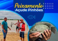 50 mil peixes foram distribuídos no Açude de Pinhões, em Juazeiro (BA)