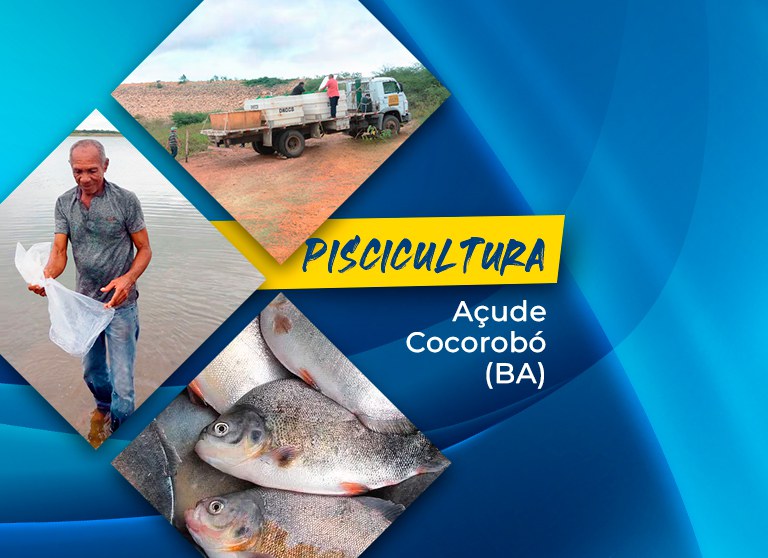 Banner-site-Cocobóro.jpg