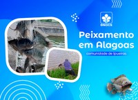 Alagoas recebe segundo peixamento este ano