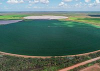 Chapada do Apodi: um paraíso rico, próspero e produtivo localizado na região do semiárido Nordestino