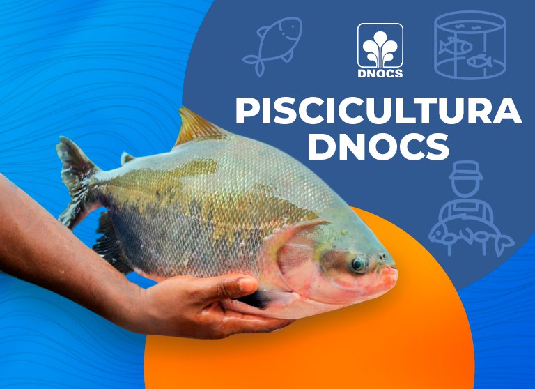 Agência ALESC  Cultivo de peixes pode dar lucro de R$ 1 por kg produzido