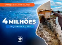 DNOCS distribui cerca de 4 milhões de alevinos no primeiro semestre de 2024