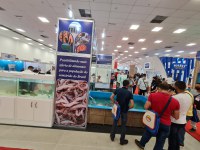 DNOCS participa do maior evento da carcinicultura das Américas