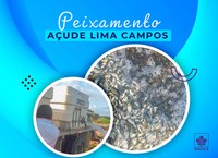 DNOCS realiza peixamento de 150 mil alevinos no Açude Lima Campos, no município de Icó