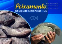 DNOCS realiza primeiro peixamento no Açude Melancias, no Ceará, com distribuição de 75 mil alevinos