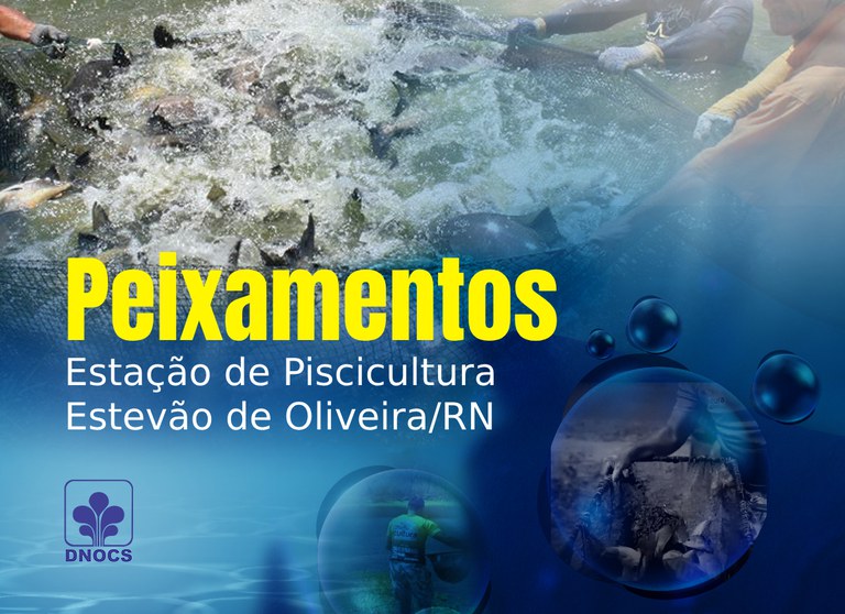 Banner Peixamento.jpg