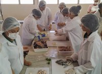 Estudantes visitam Centro de Pesquisas Rodolpho von Ihering e aprendem sobre aquicultura e tecnologia do pescado