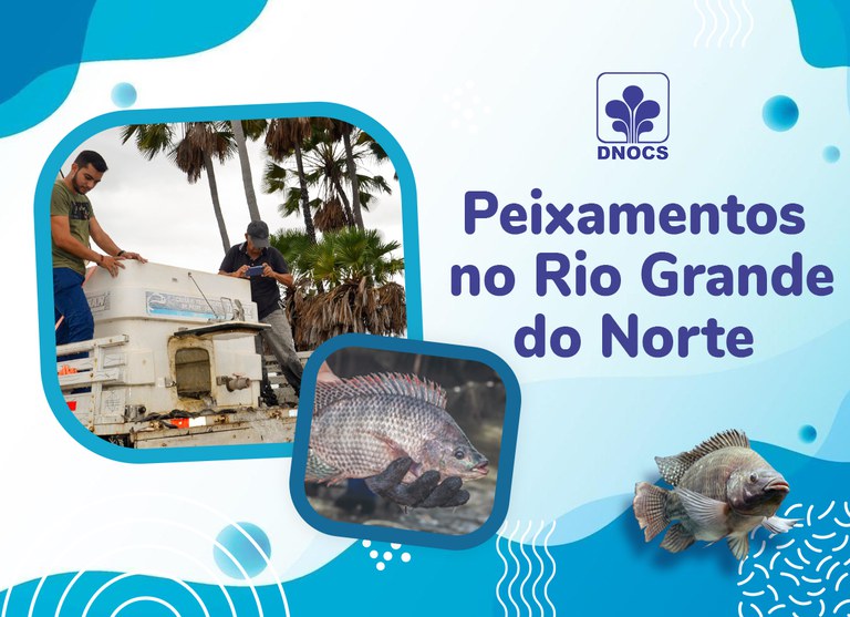 Banner-Site-Peixamento.jpg