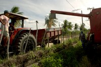 Perímetro Irrigado de Morada Nova Completa 51 anos