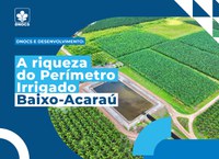 Perímetro Irrigado do DNOCS atua no desenvolvimento do Brasil