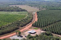 Projeto Público de Irrigação Tabuleiros Litorâneos