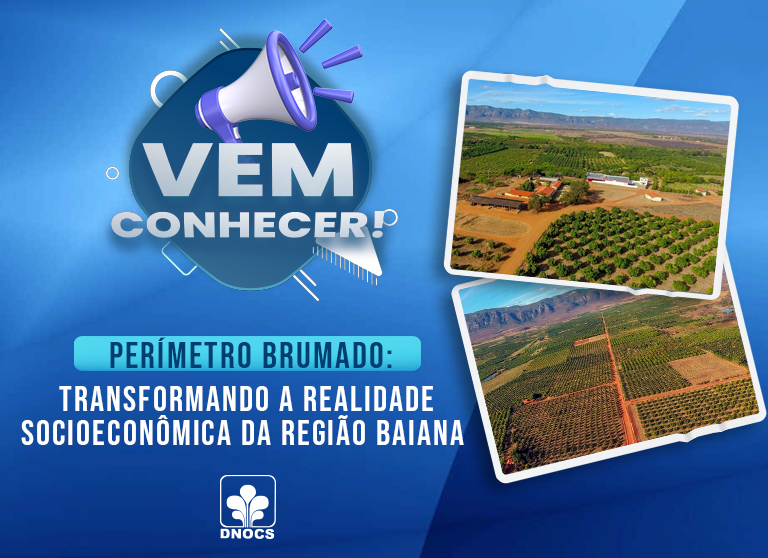 Com renda bruta de mais de 150 milhões de reais em um ano, o Perímetro do Brumado fomenta o crescimento da fruticultura no estado da Bahia