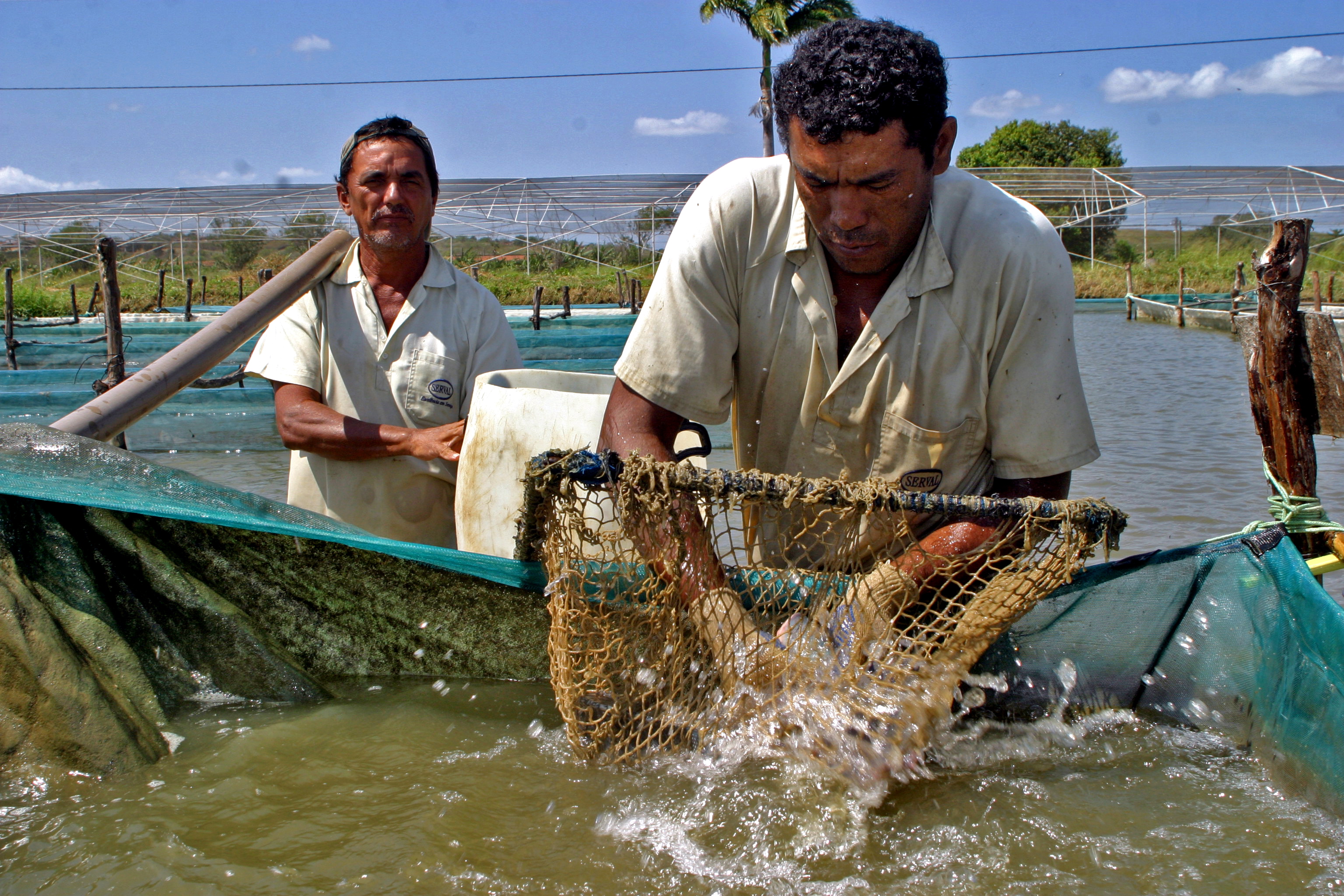 CPAq_CE_manejo_de_peixe.jpg