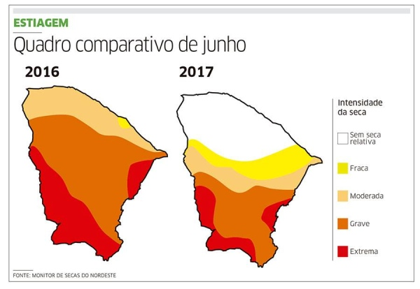 grafico.png