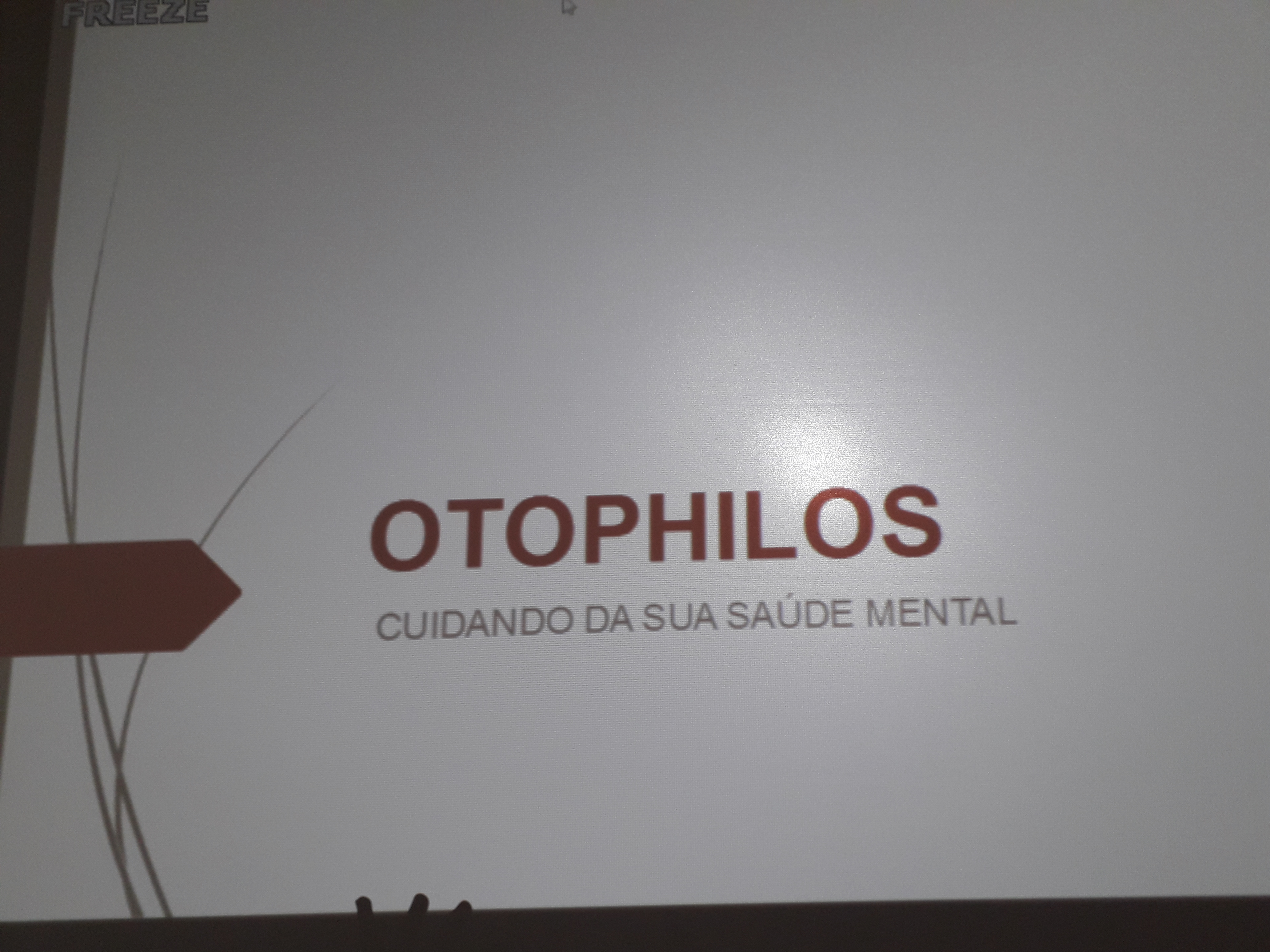 otophilos.jpg