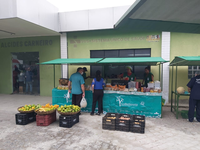 Feira de alimentos orgânicos é realizada no HUAC-CAESE