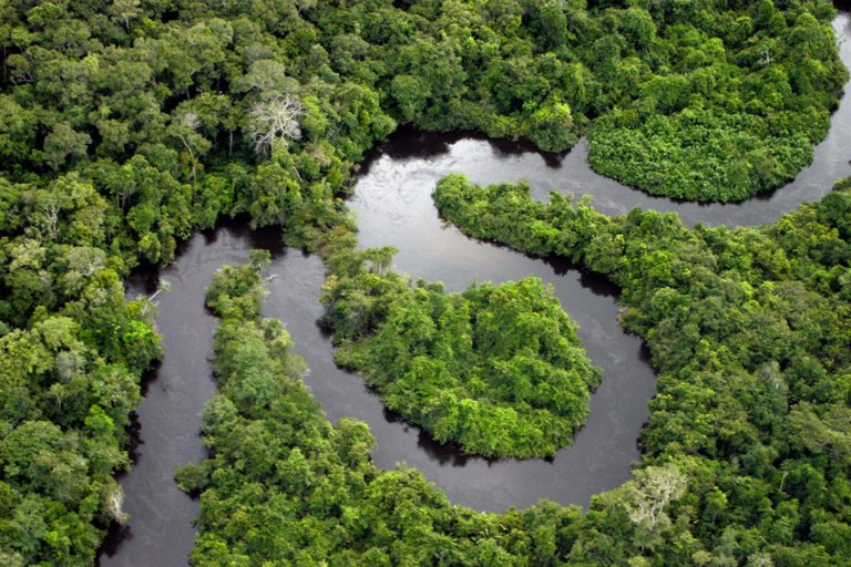 ForbesESG-Amazonia-250621-LeoFFreitasGettyImages-1024x683.jpg