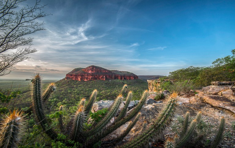 Serra Da Capivara National Park: A Top Global Destination