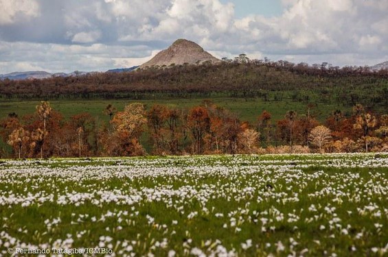 Chapada dos Veadeiros